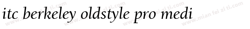 itc berkeley oldstyle pro medium字体转换